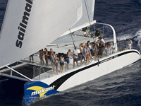 dolphin royal swim at sea life park hawaii