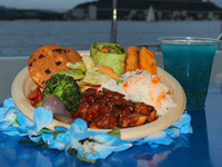 dolphin royal swim at sea life park hawaii