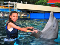 playing with a dolphin at sea life park