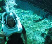 shark treck at sea life park hawaii