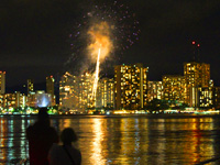 dolphin royal swim at sea life park hawaii